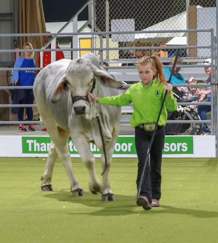 St. Lucie County Fair Exhibitor & Contest Information