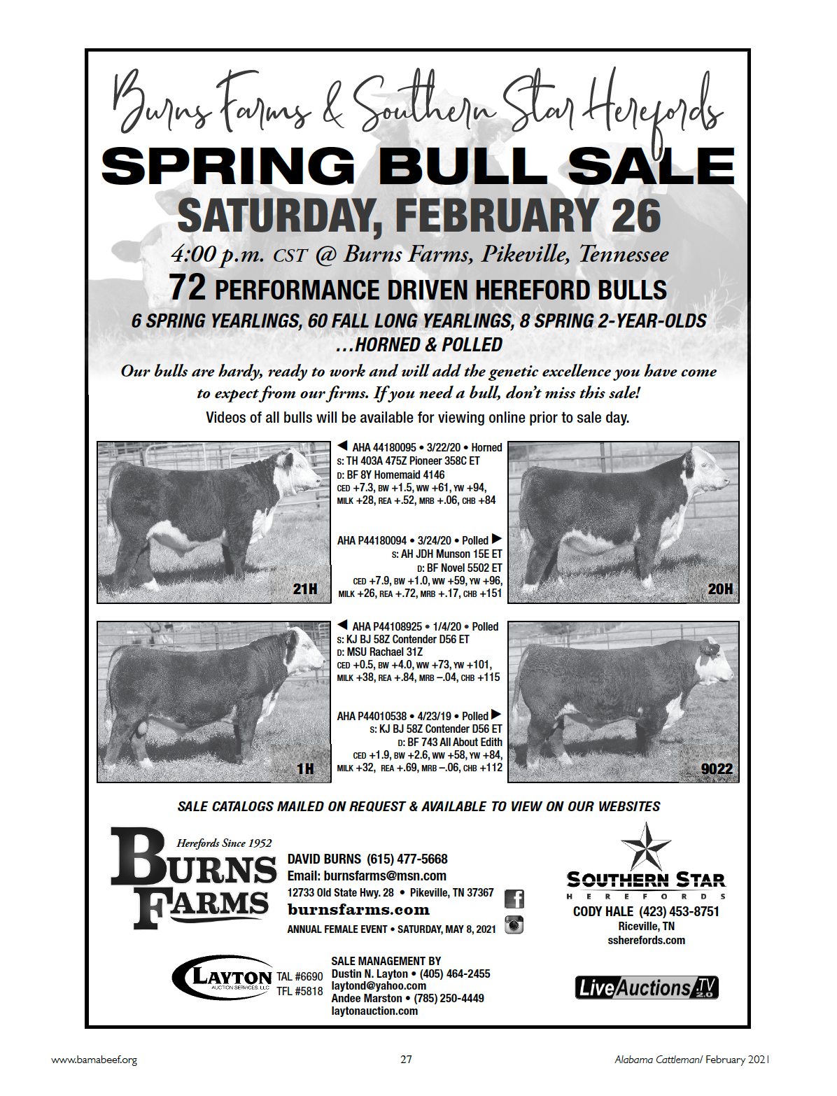 Burns Farms & Southern Star Herefords Spring Bull Sale