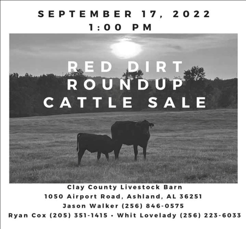Red Dirt Roundup