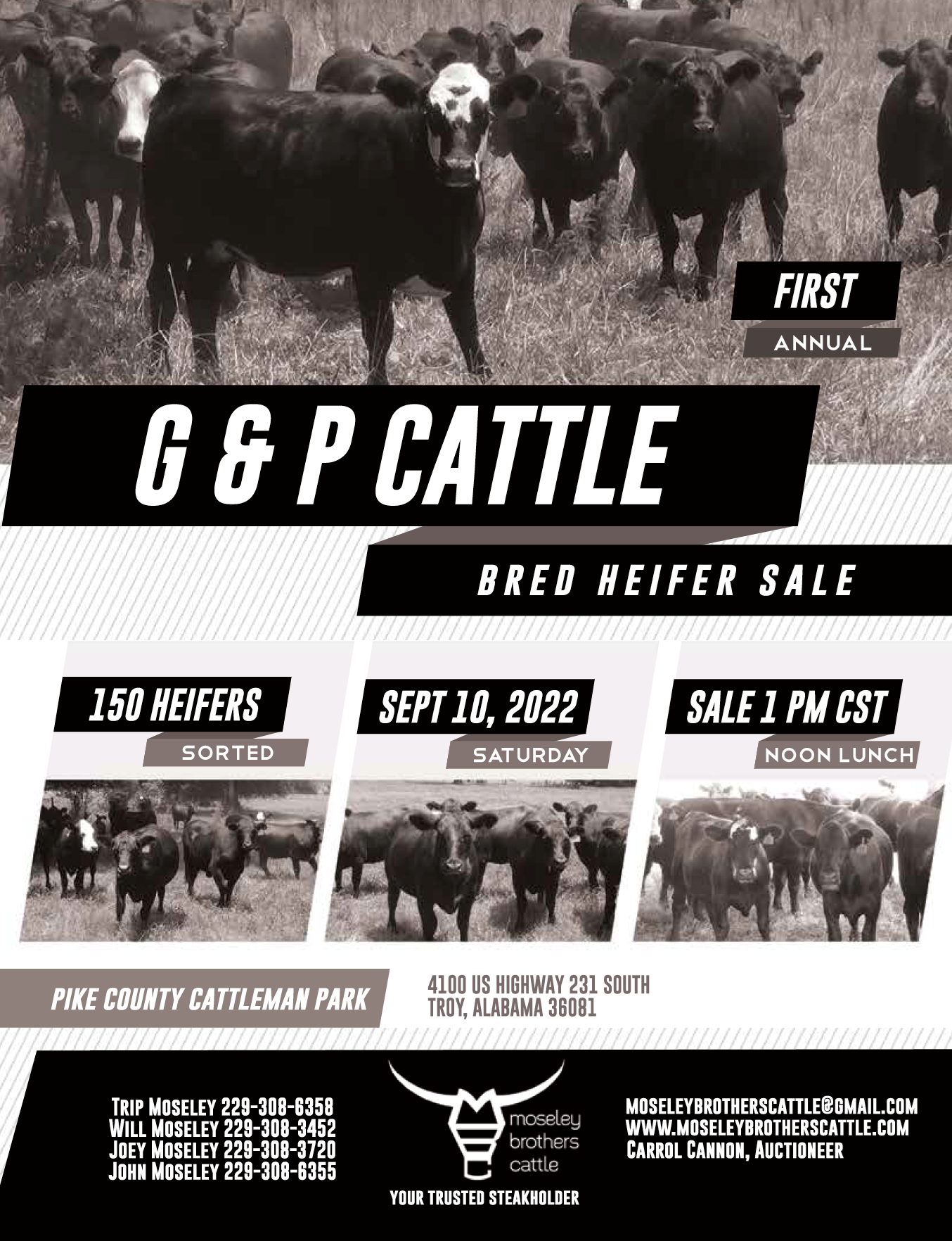 First Annual C&P Cattle Bred Heifer Sale