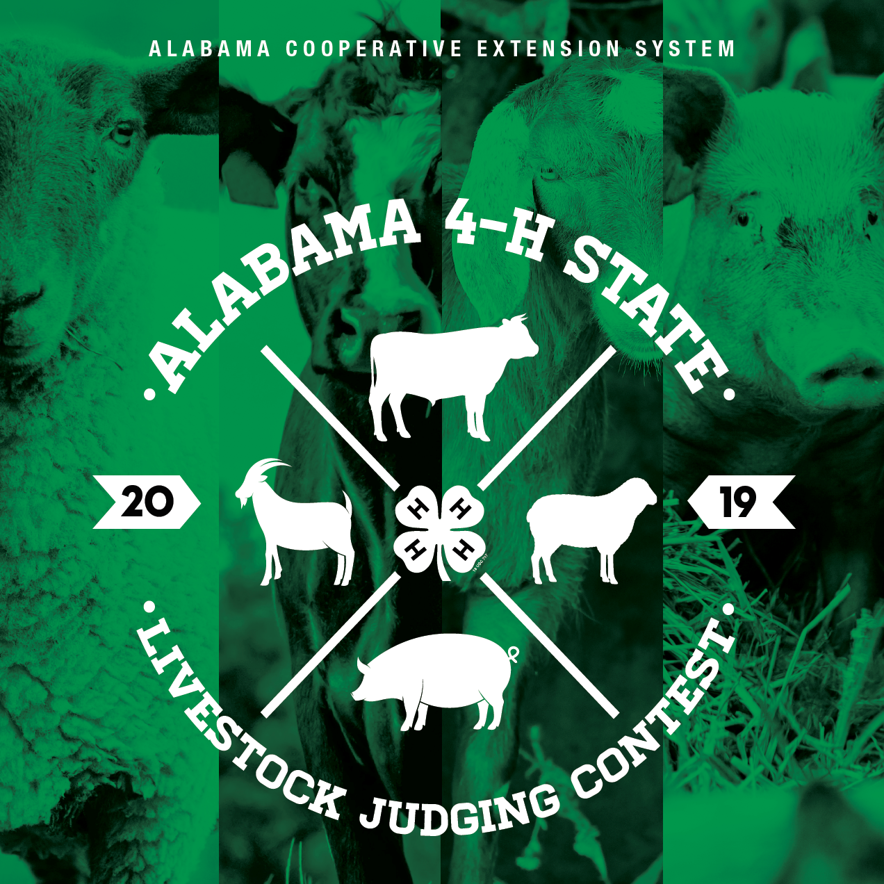 Alabama 4H State Livestock Judging Contest