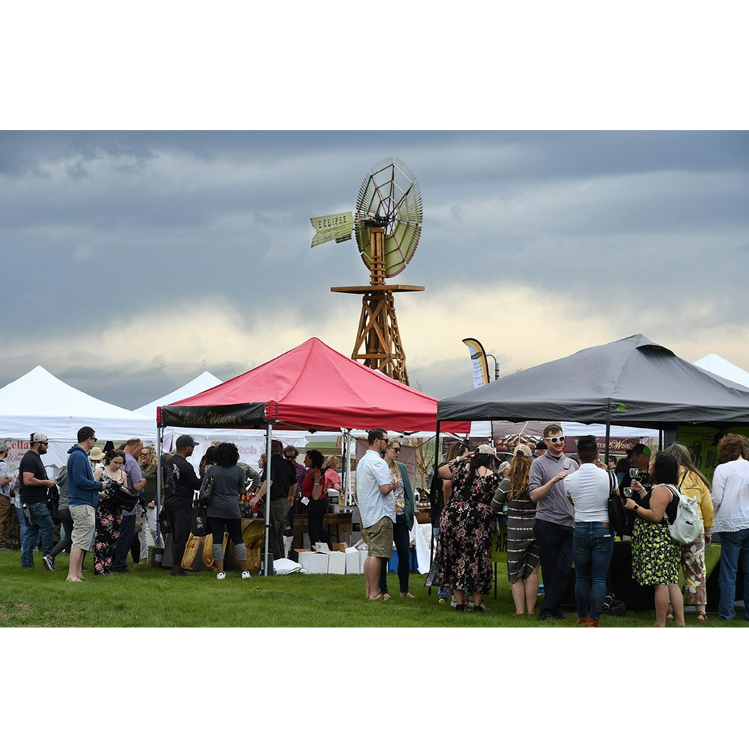 Chalk Lines and Vines