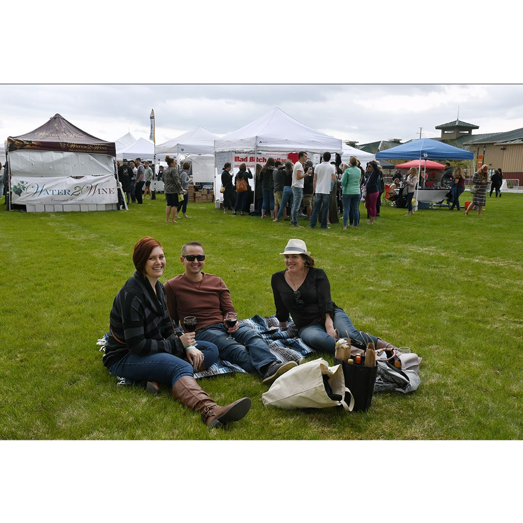 Chalk Lines and Vines