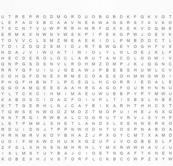 The Big E Sheep Word Search