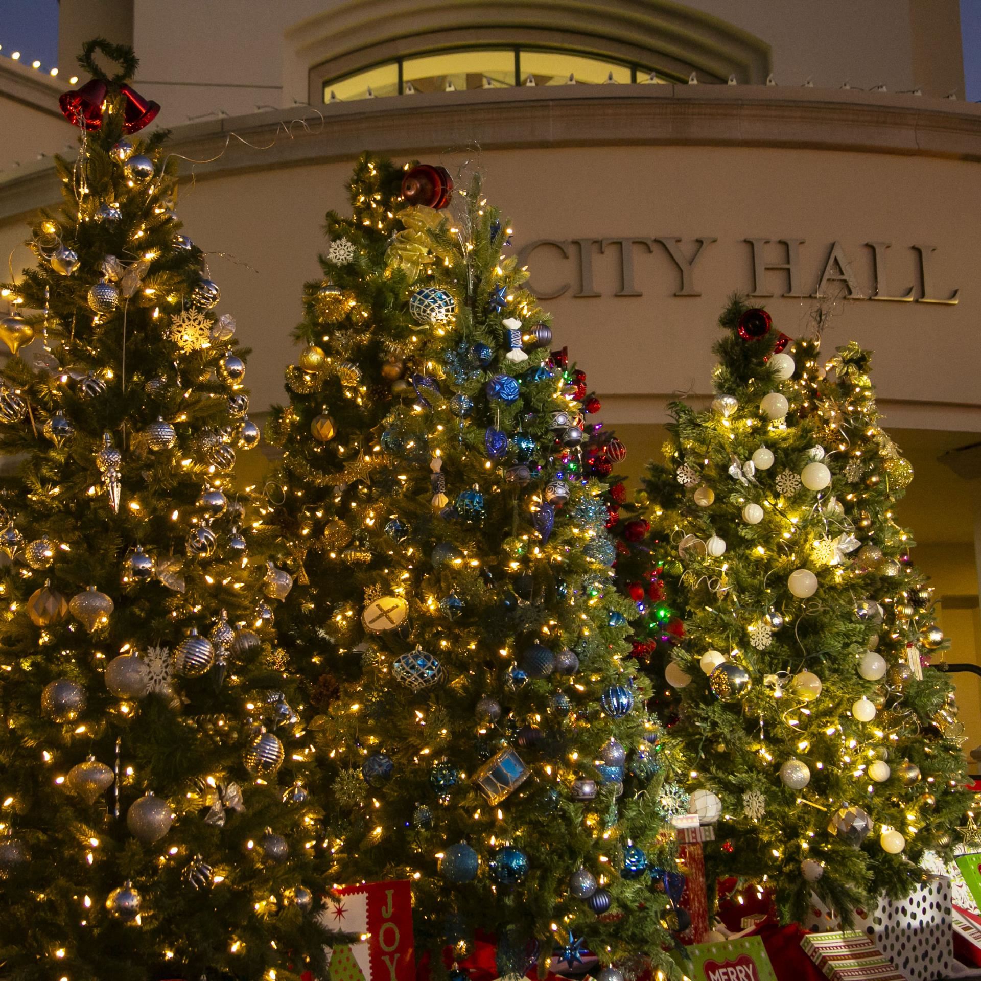Christmas Tree Lighting Buena Park, CA