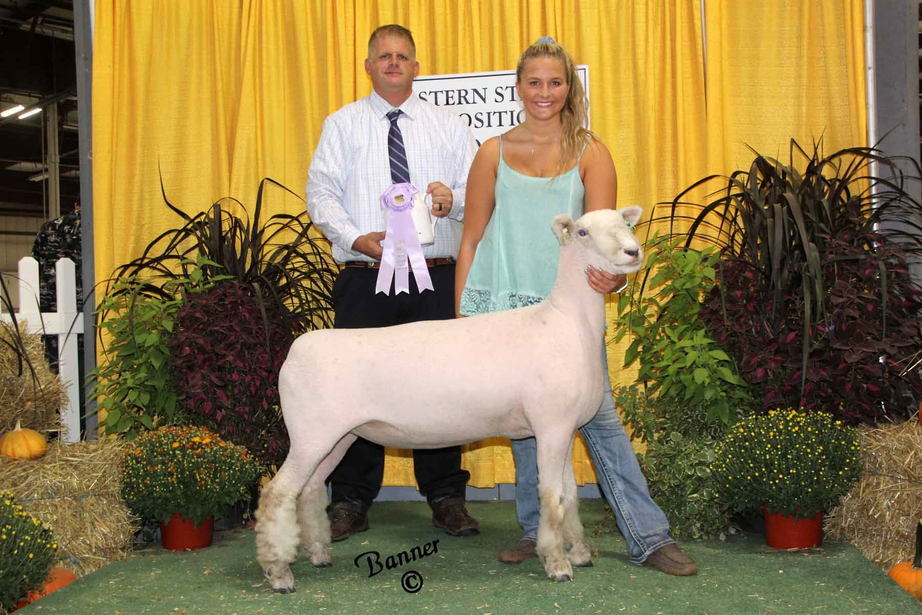2019 Sheep Show Photos Week 1
