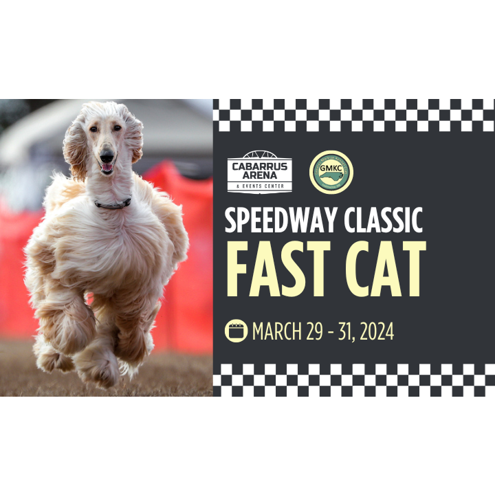 Speedway Classic Fast CAT