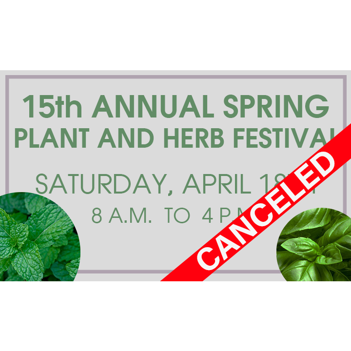 15th Annual Spring Plant and Herb Festival