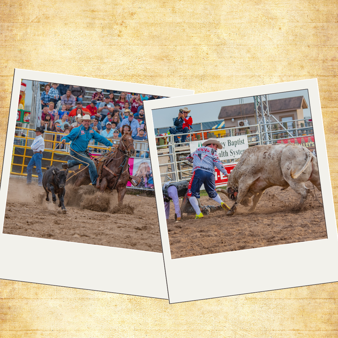 Sunday ProRodeo