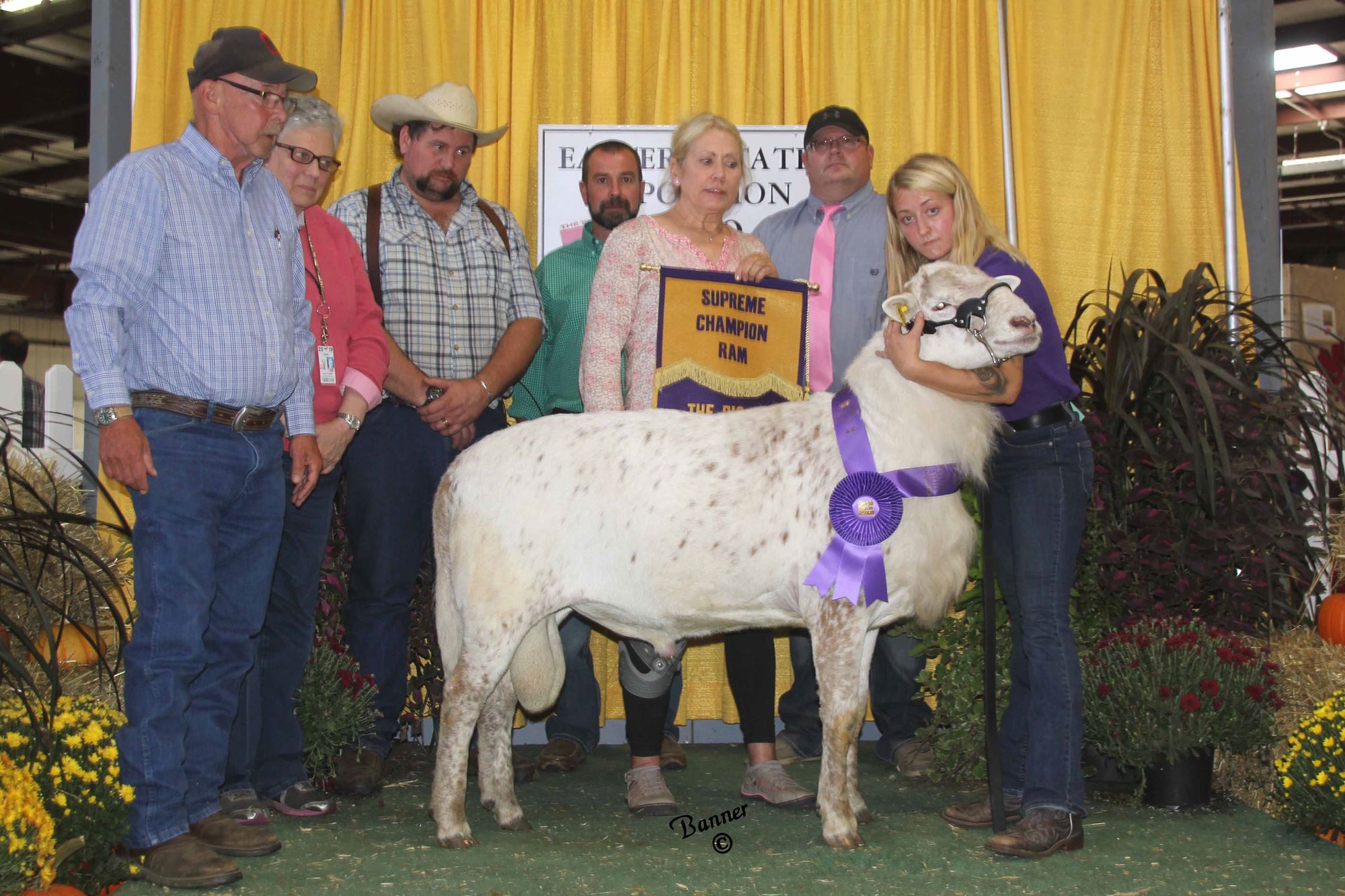 2019-sheep-show-photos-week-2