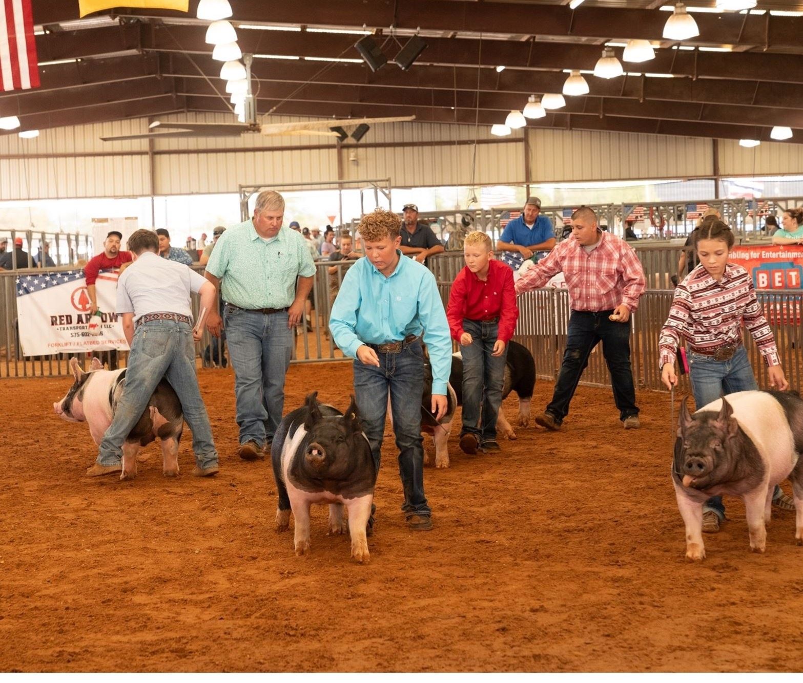 Junior Livestock Sale