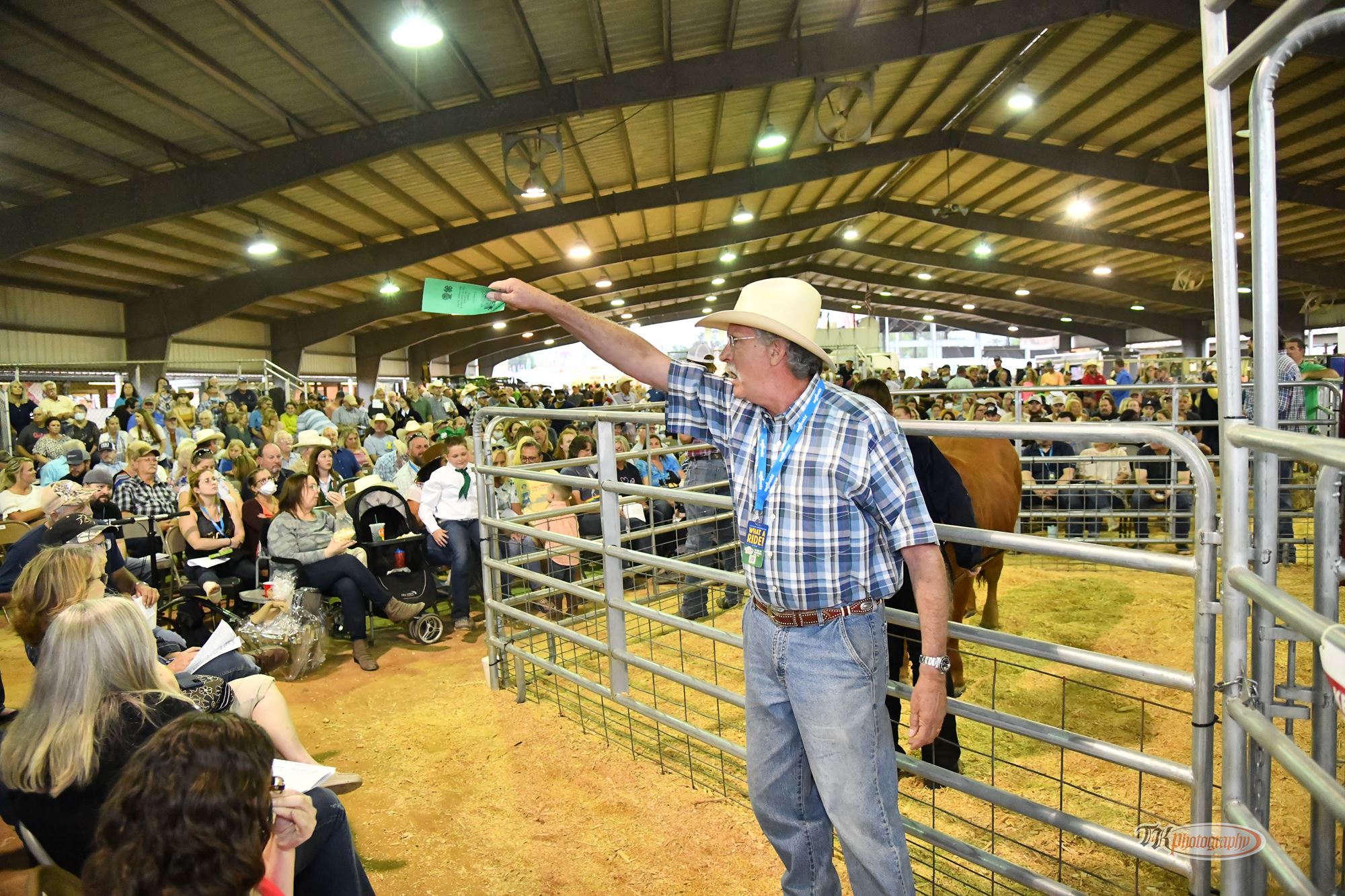 4H / FFA Steer & Swine Sale