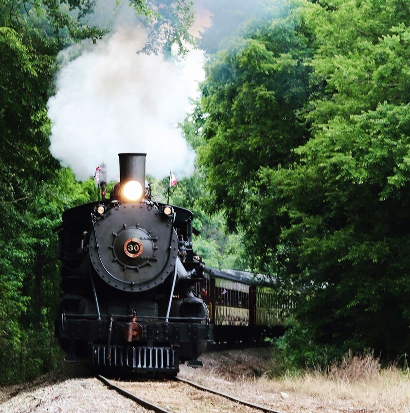 Piney Woods Express Steam