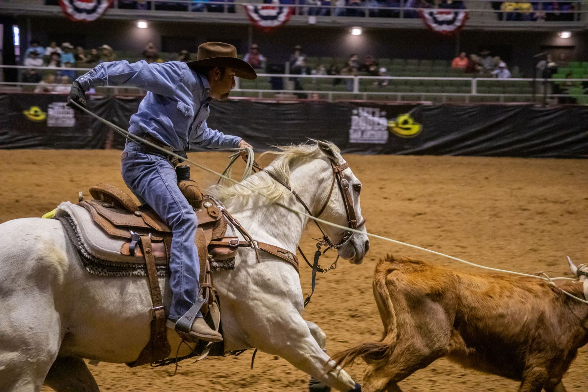 Team Roping