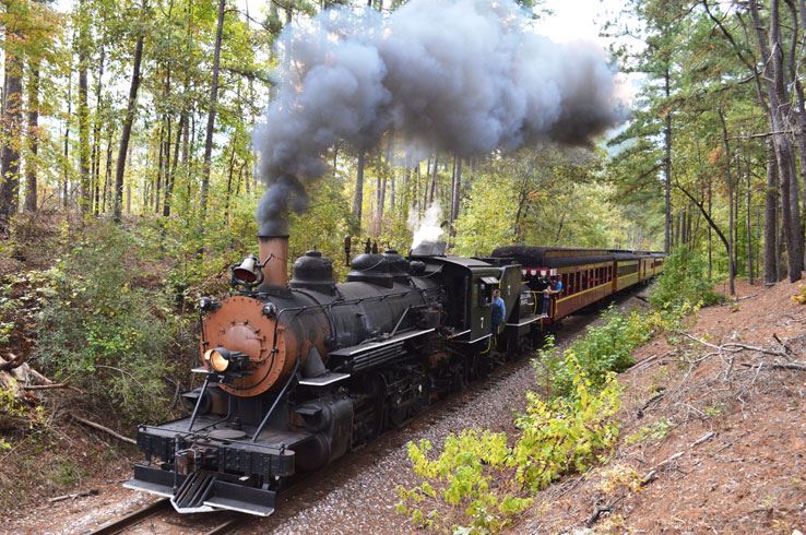 Piney Woods Express Steam