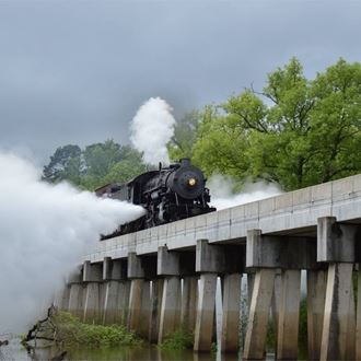 Piney Woods Express Steam