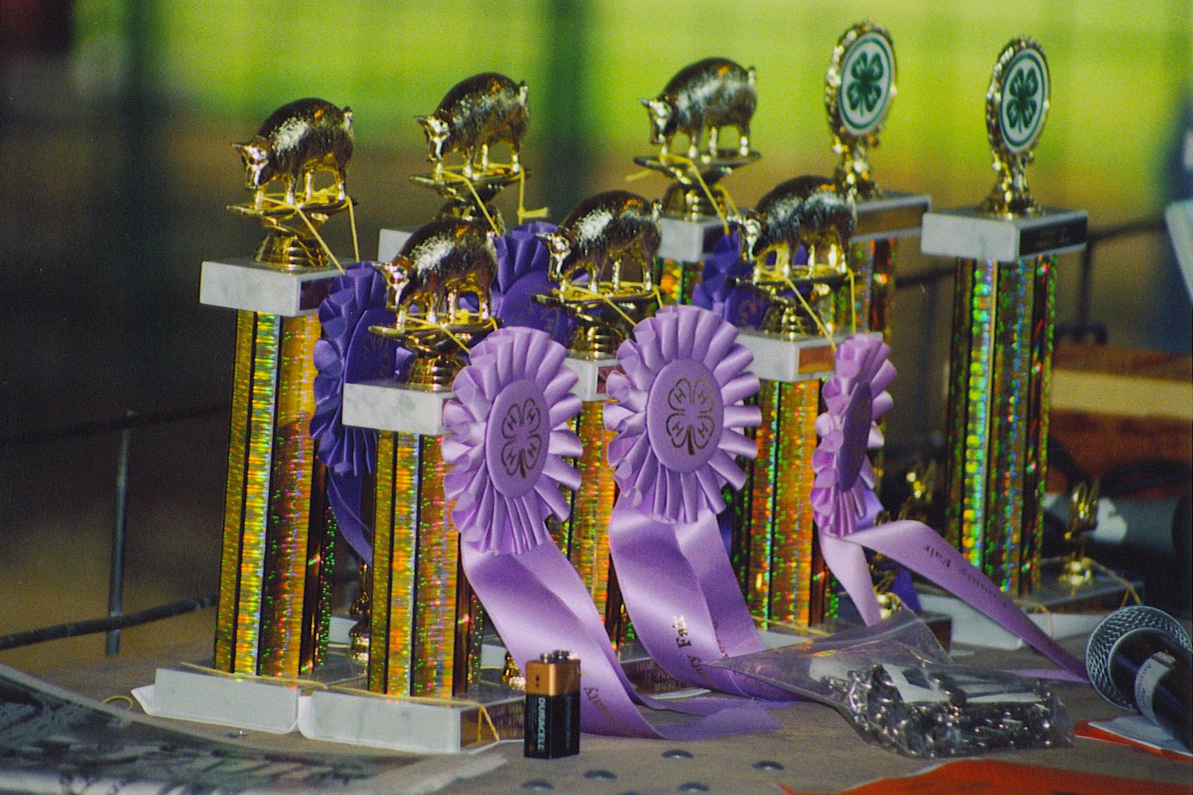 4H & FFA Livestock Ribbon Auction