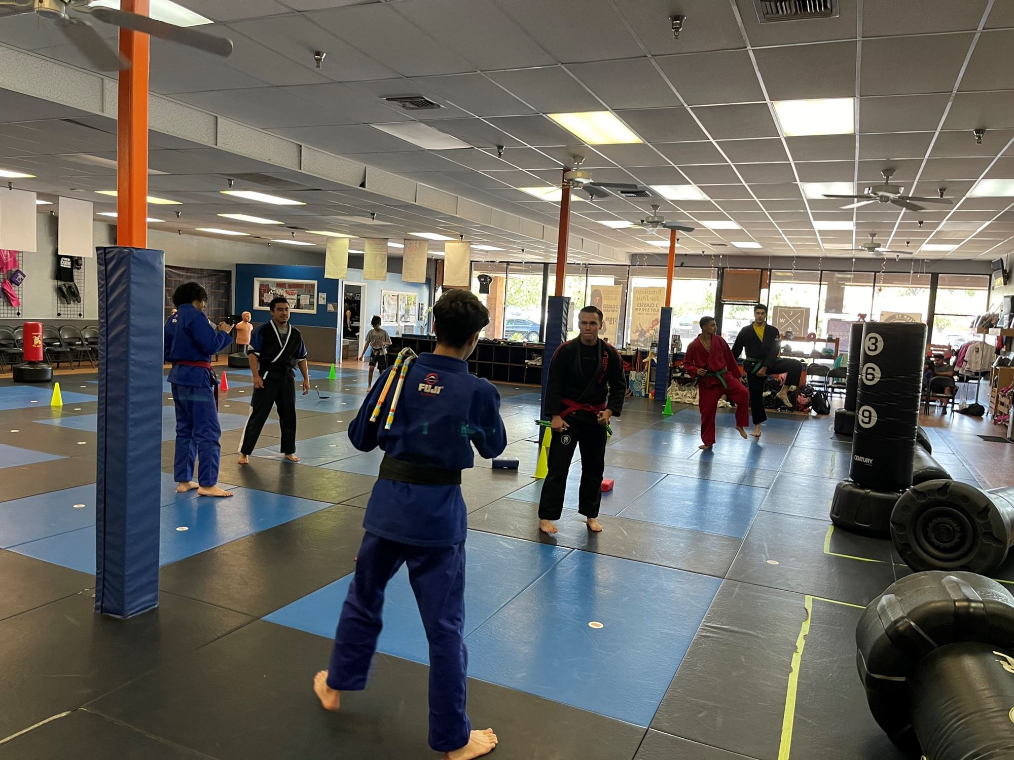 Ultimate Martial Art