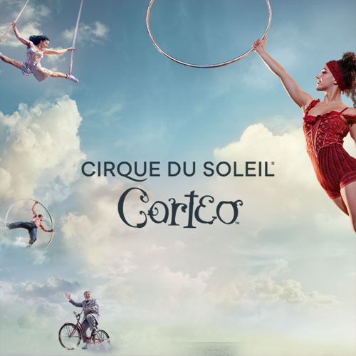 Cirque Du Soleil Parking