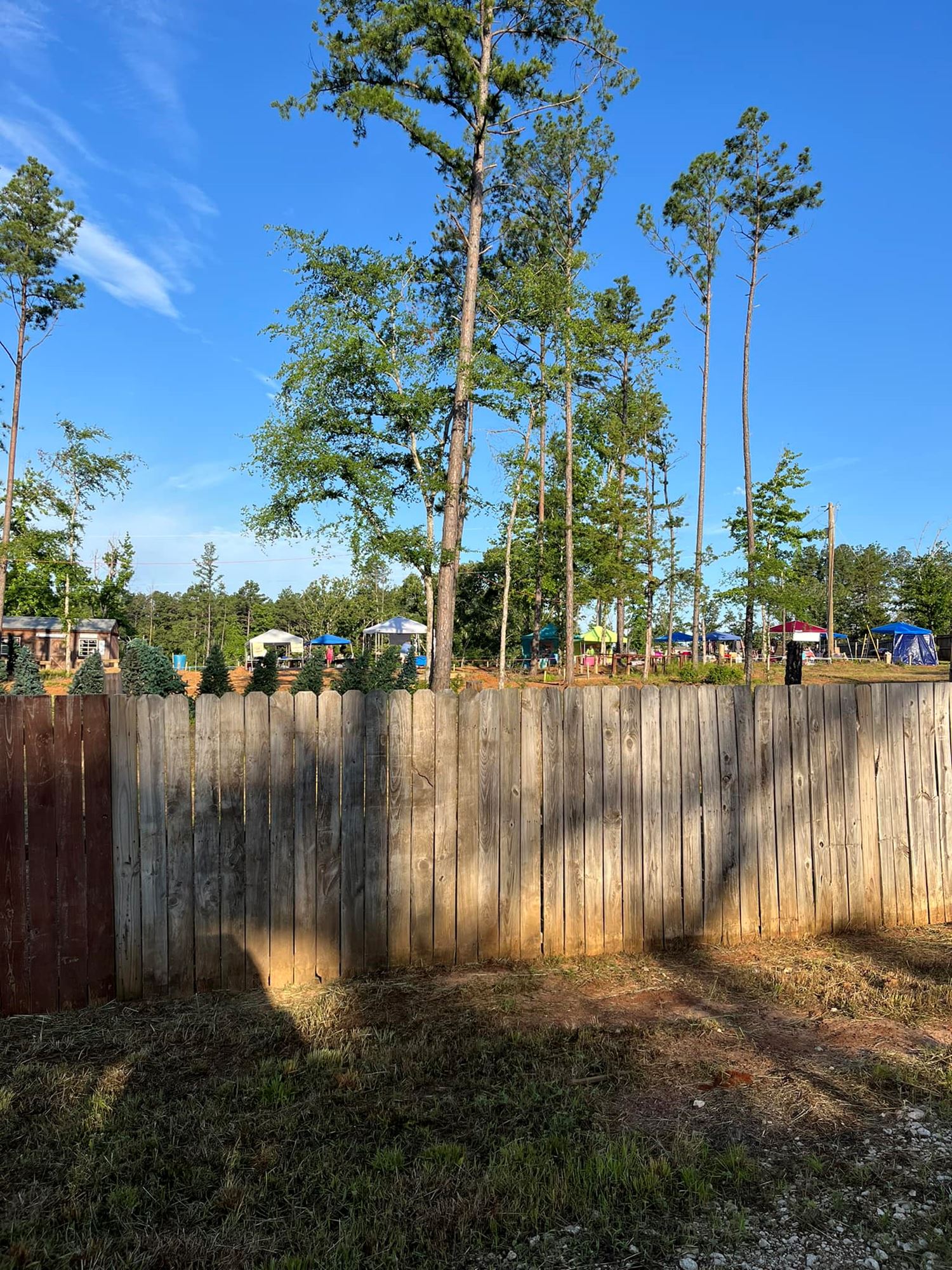 Palestine Flea Market