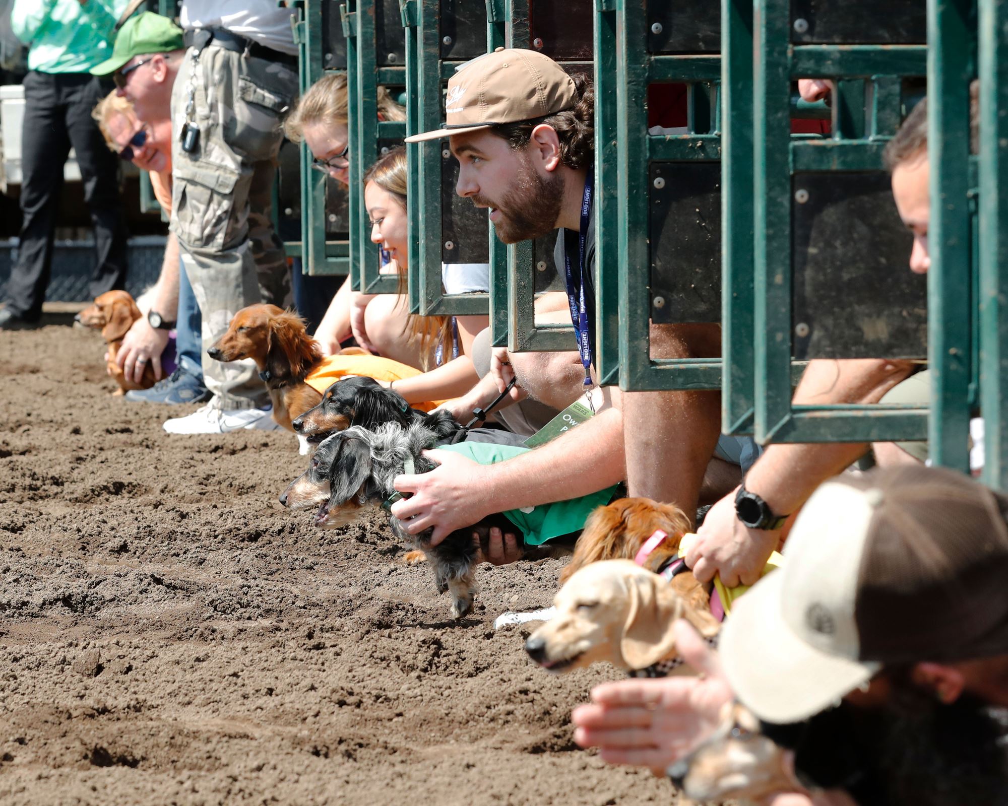 Weiner Dog Races