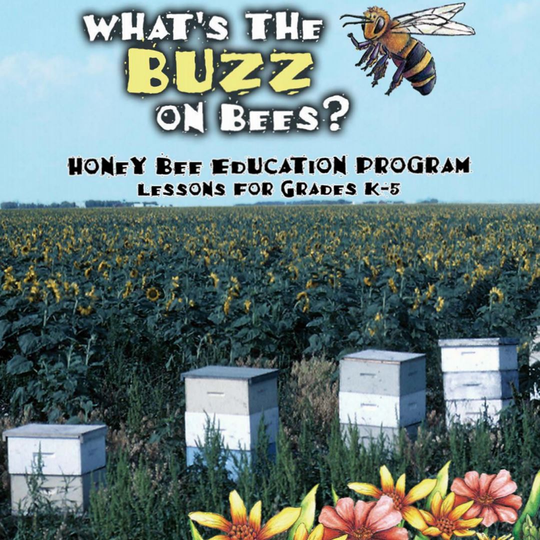 What’s the buzz on bees?