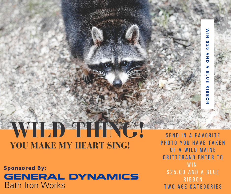wild thing, you make my heart sing poster