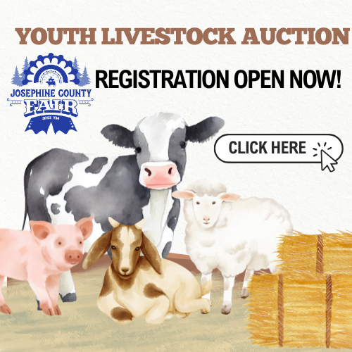 Youth Livestock Auction Registration