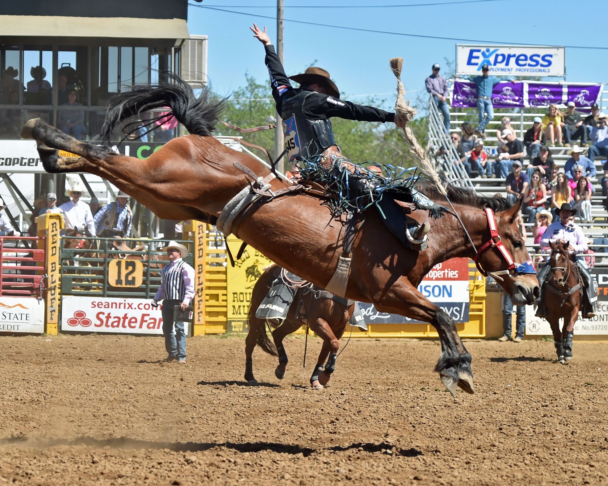 Saddle Bronc Riding- Zeke Thurston
