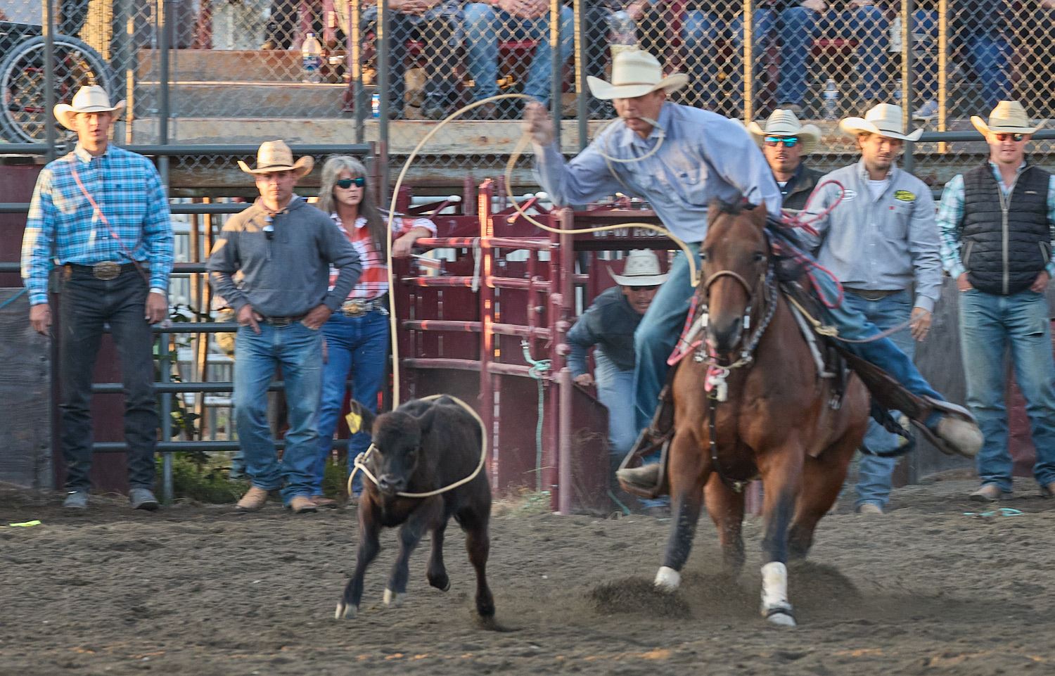 Enumclaw Pro Rodeo