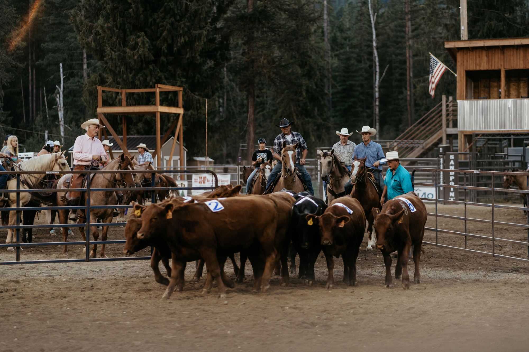 RANCH SORTING