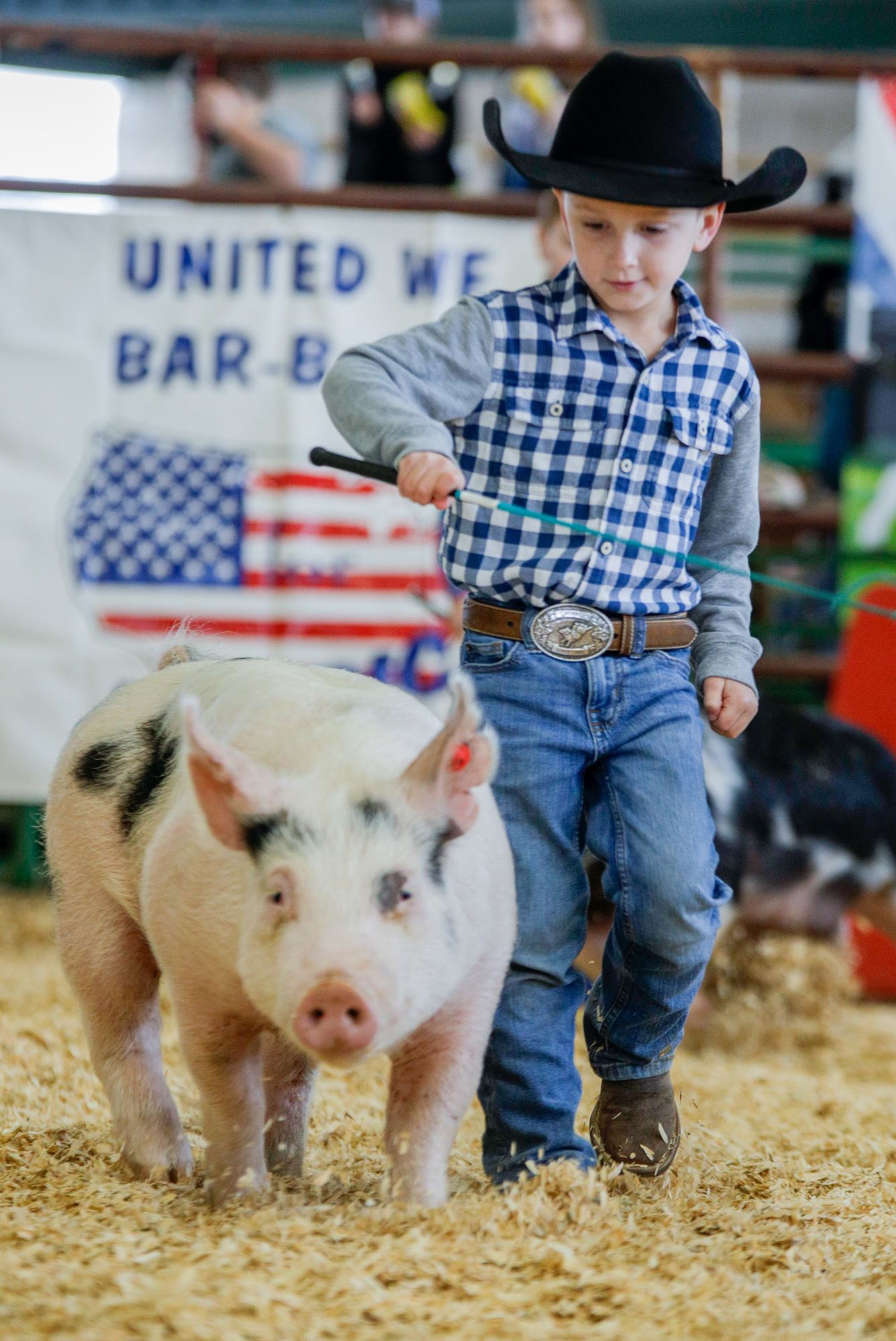 Harris County Fair and Rodeo Vision