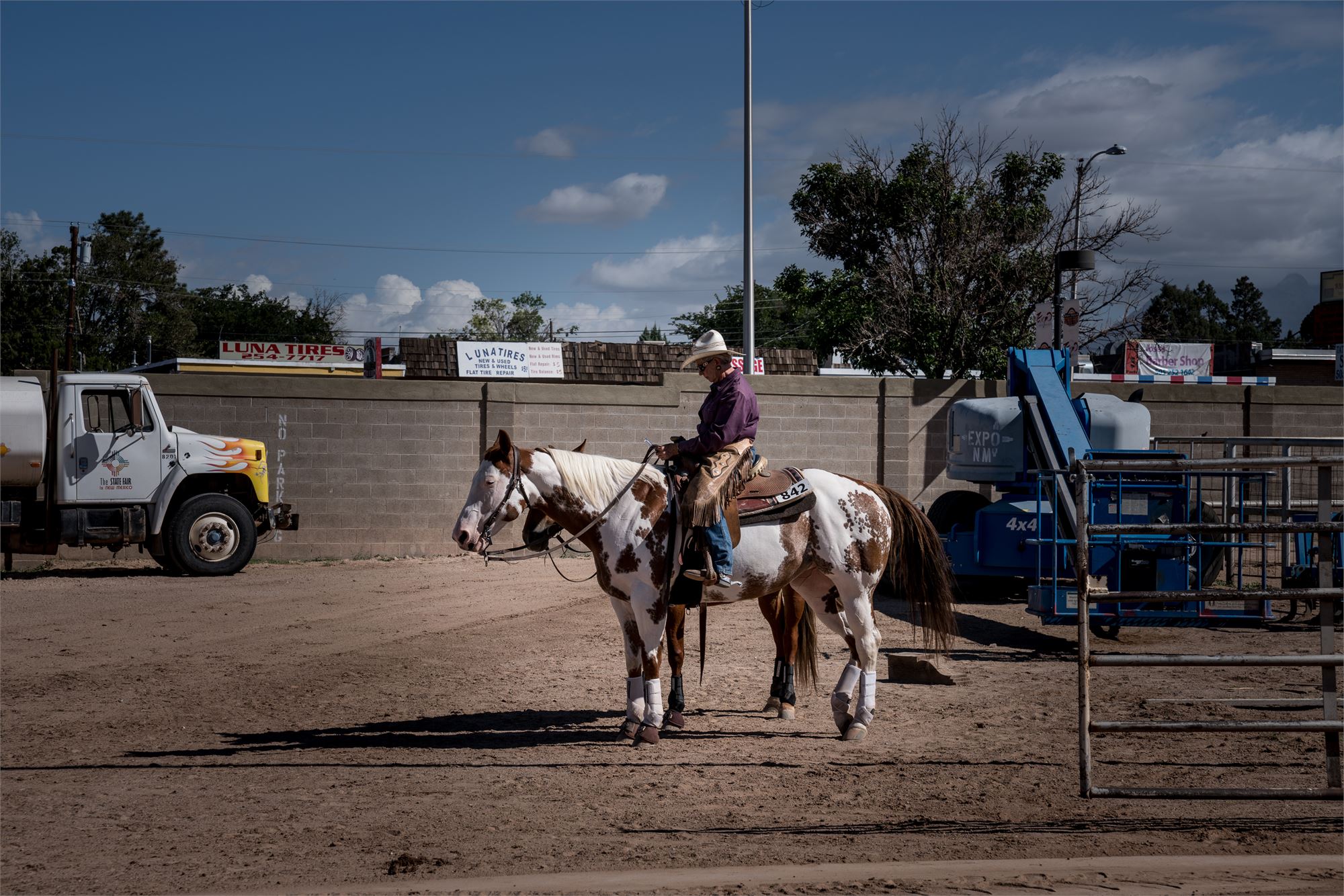 Horse Shows