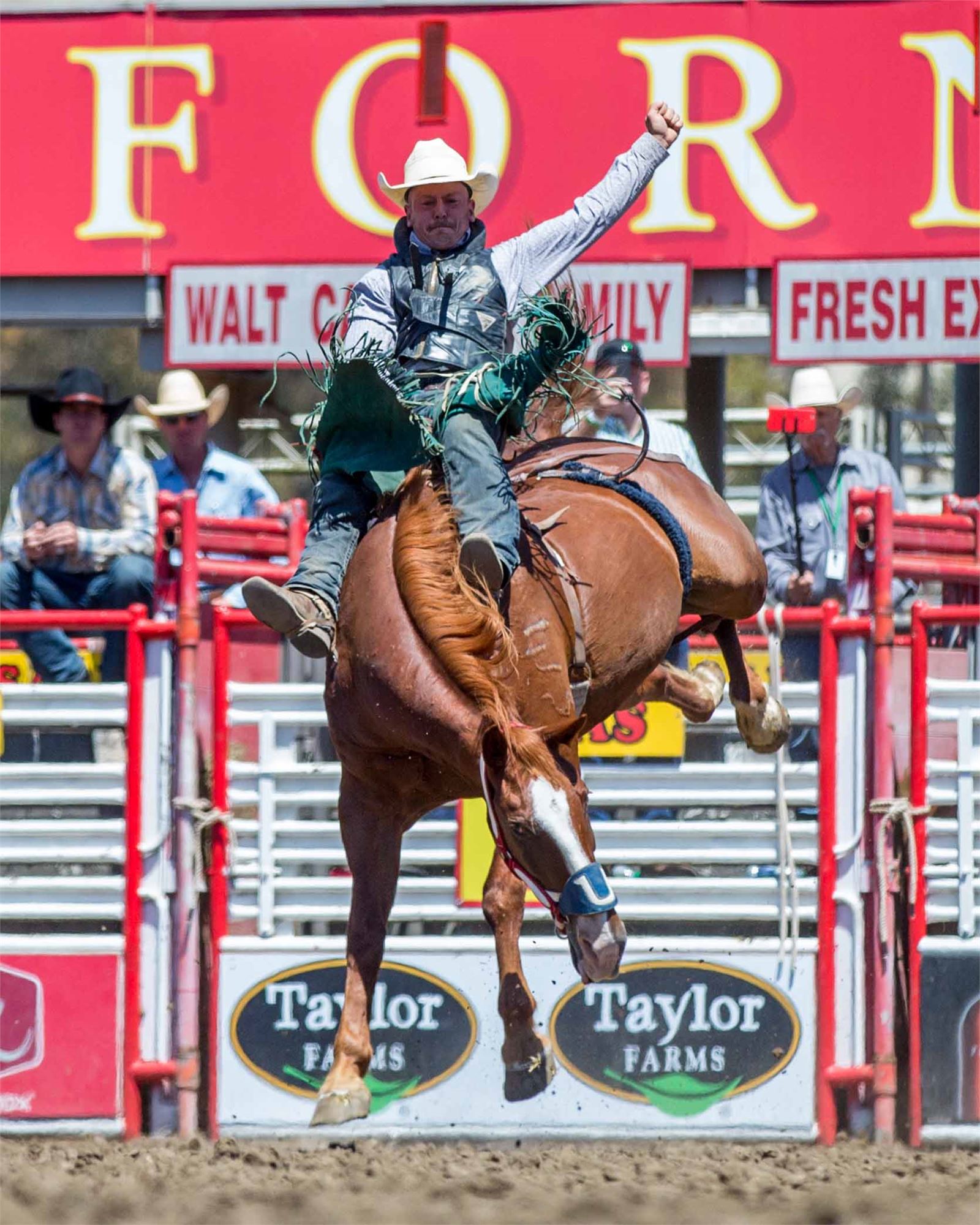Rodeo Terms: Cowboys, Events & More