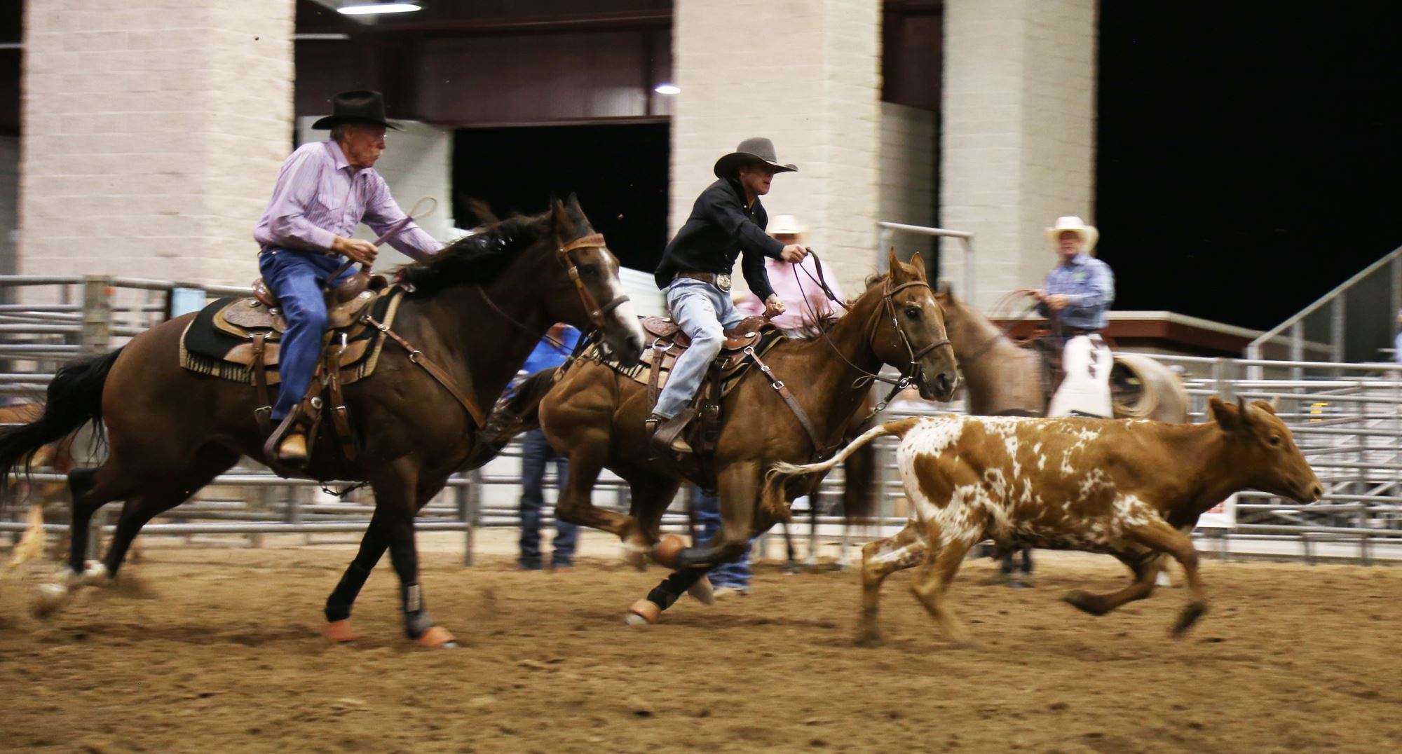 The Williamson County Fair and Rodeo offers rodeo events
