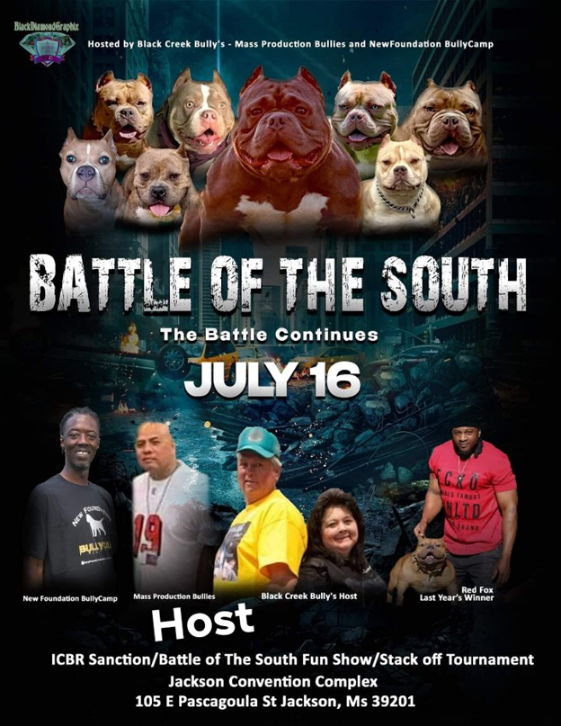 Battle of the South