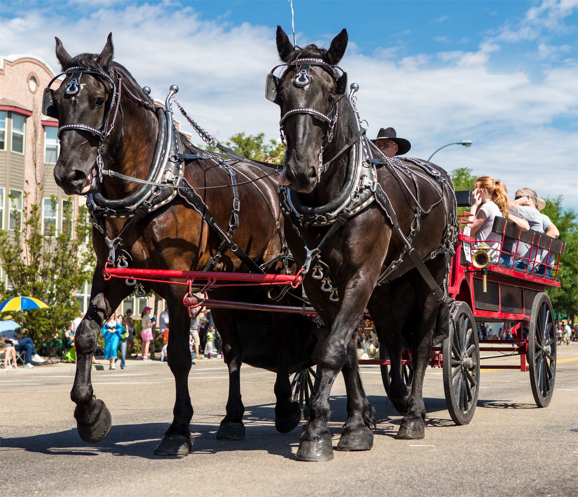 Committee Member Opportunities