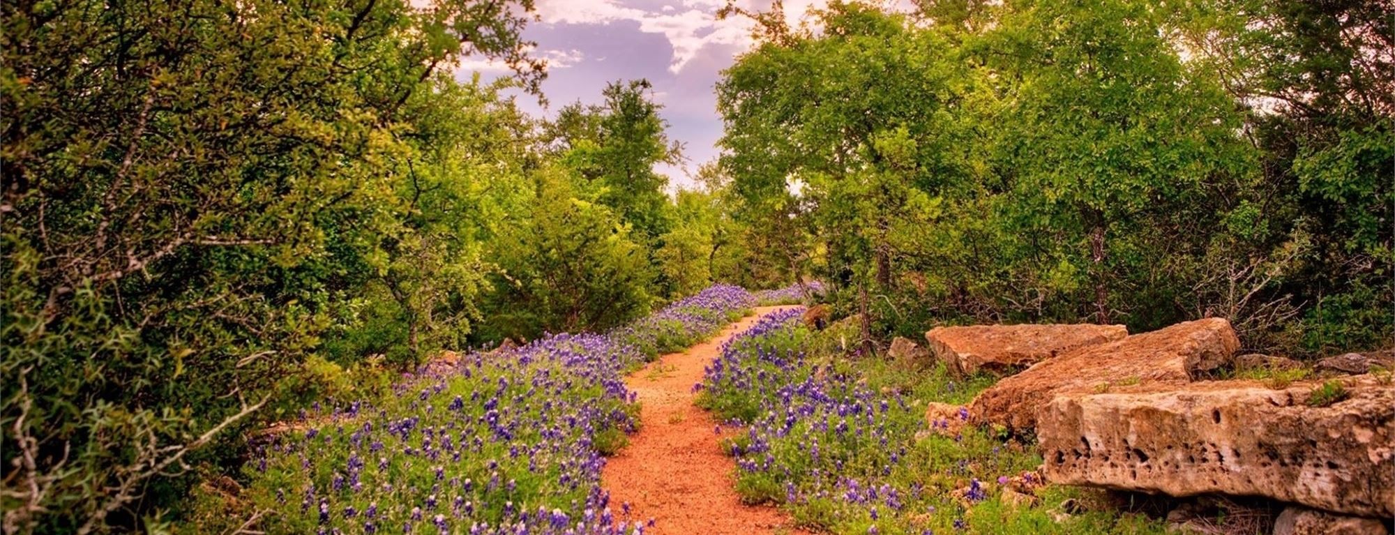 A guide to the North Trail of Dripping Springs
