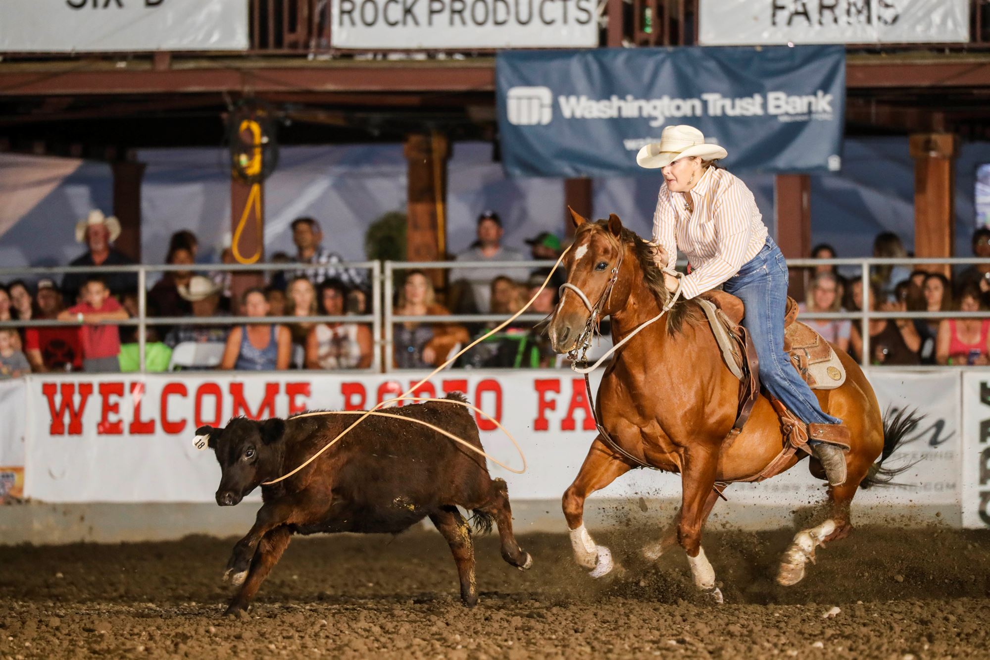 Wrpa Roping Competition