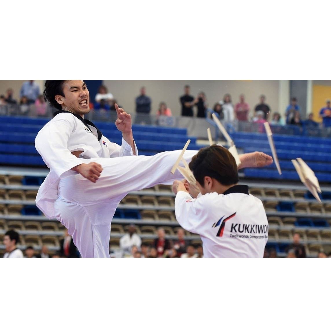 Maryland Governor's Cup Taekwondo Championships