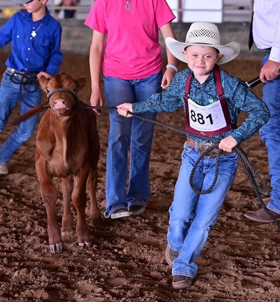 Bucket Calf Show