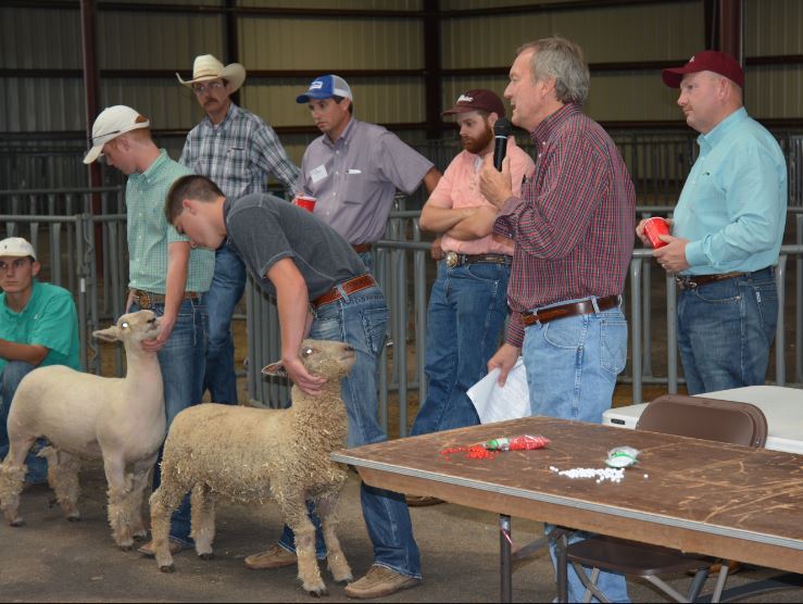 Texas Sheep & Goat Expo