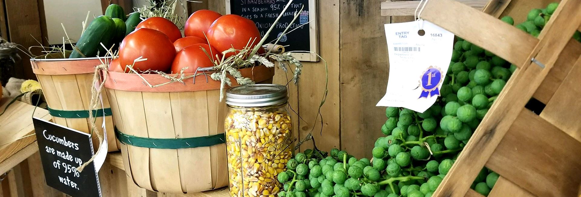 Erie County Fair Competitions