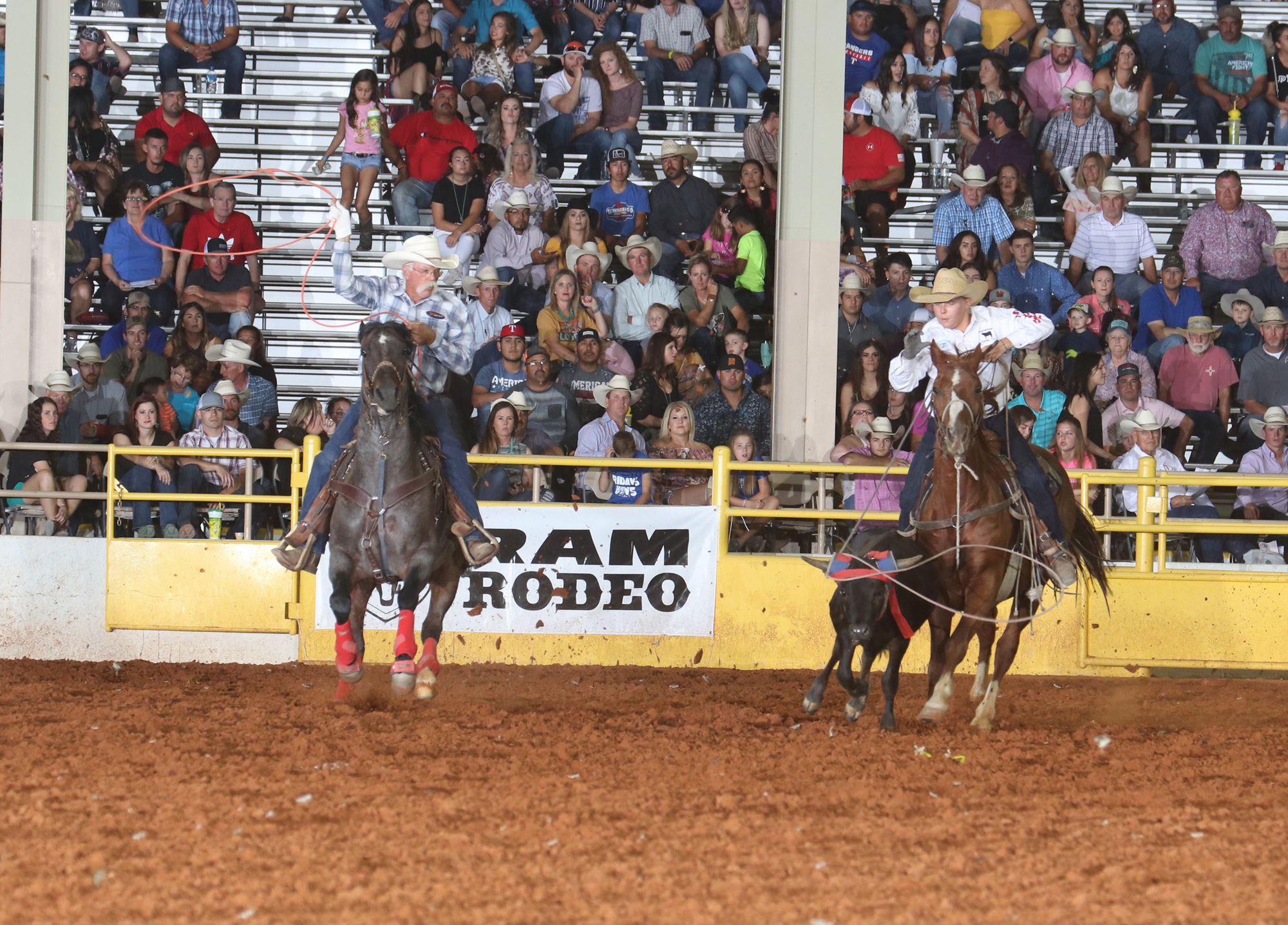 Local Team Roping