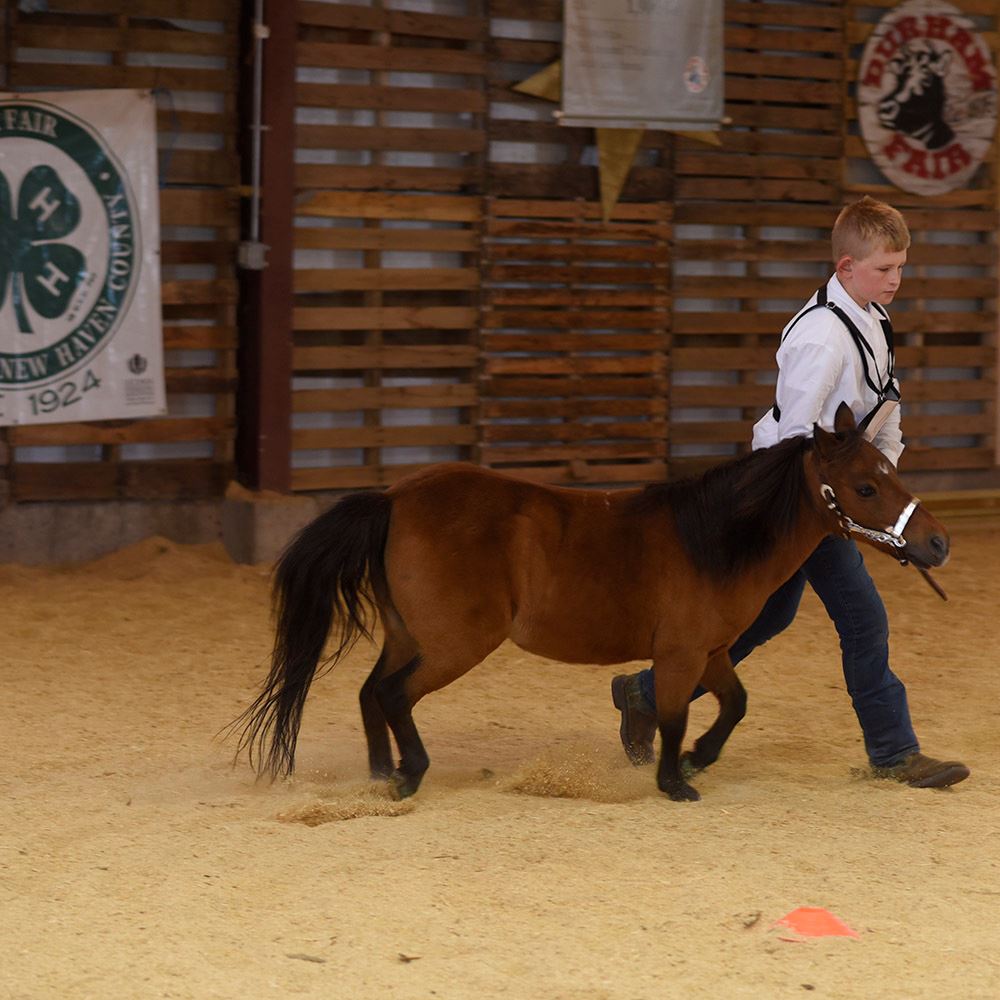 Middlesex & New Haven County 4H Fair