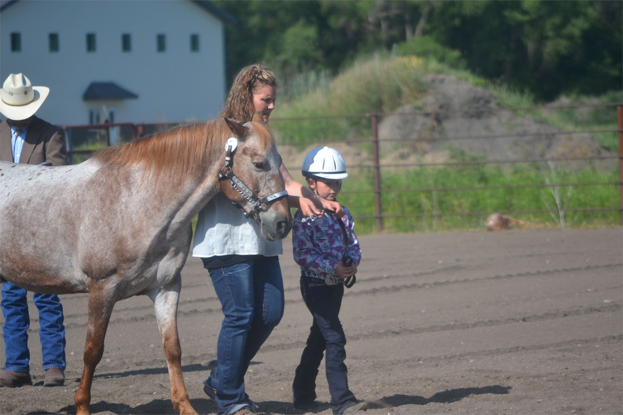 4H Horse Show