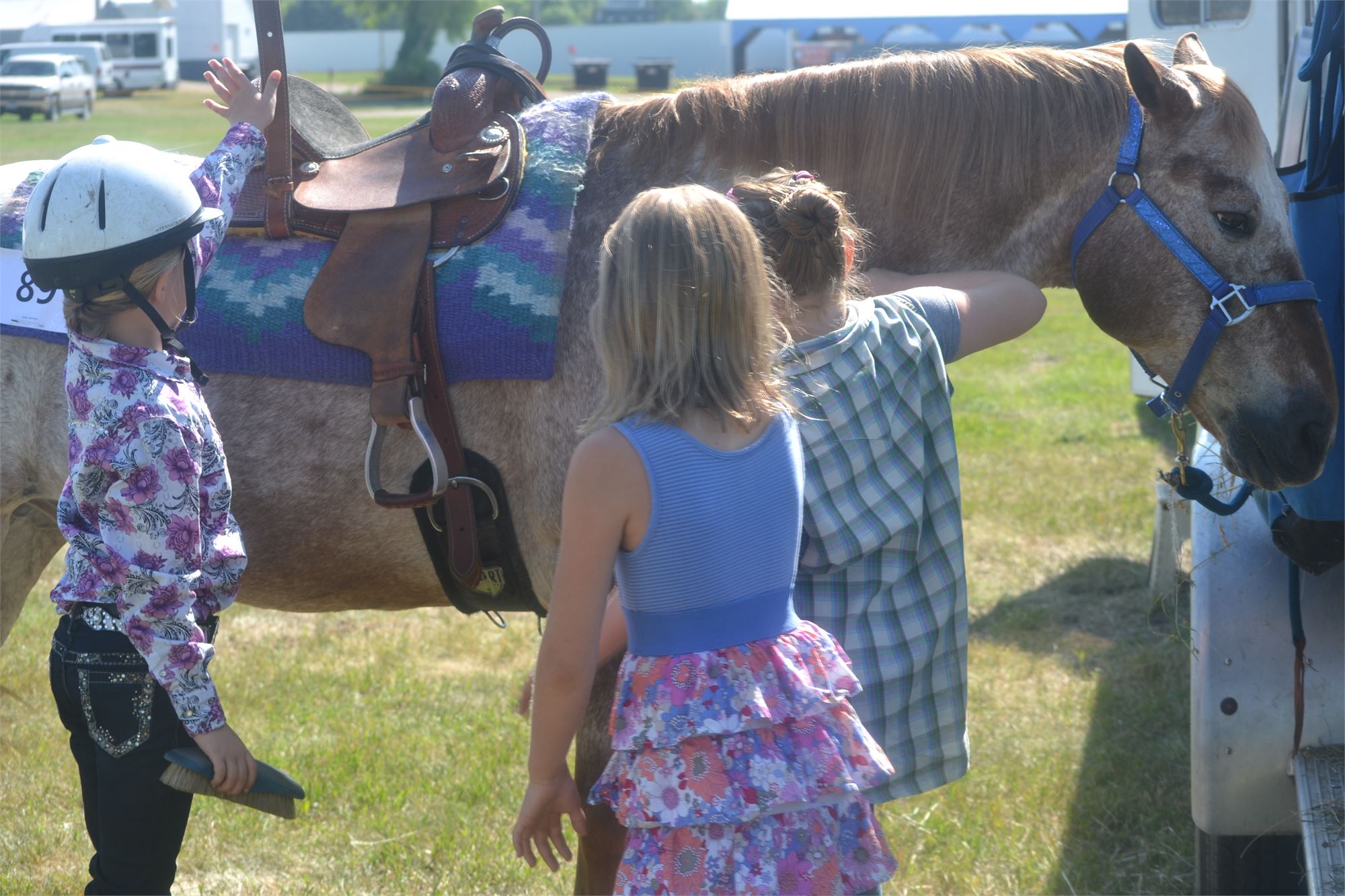 4H Horse Show