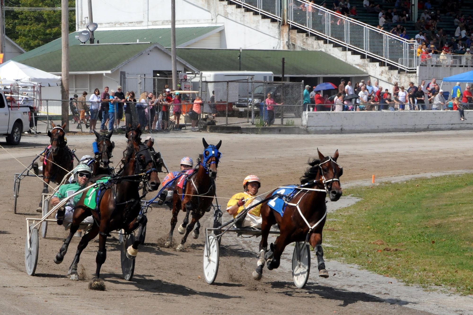 2019 Canfield Fair Photos