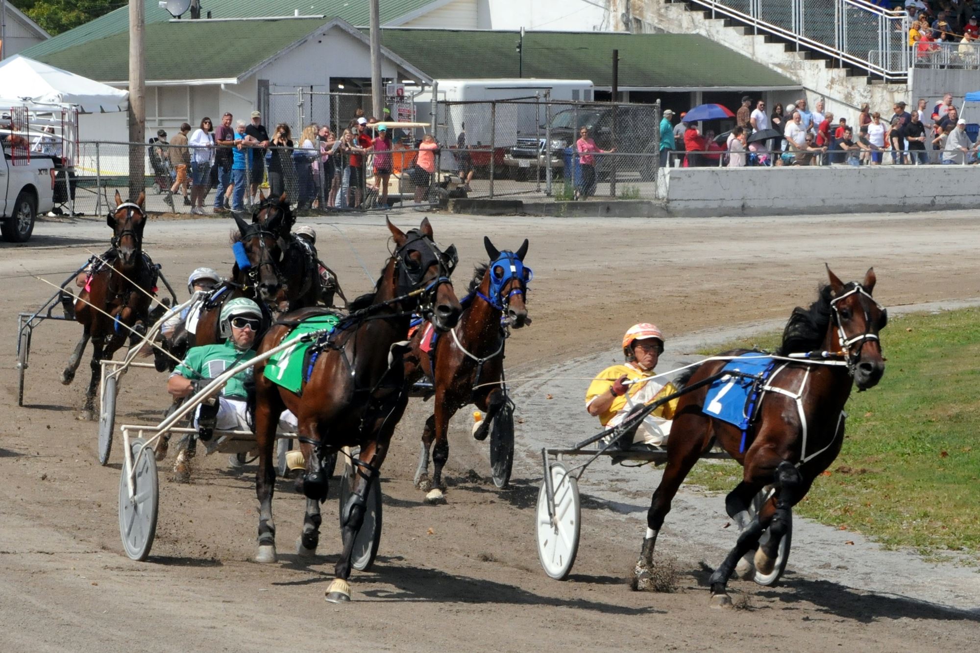 2019 Canfield Fair Photos