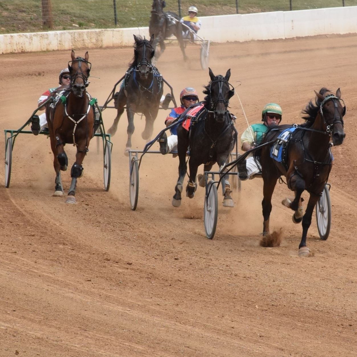 about harness racing at the Bedford County Fair in PA